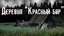 Деревня «Красный бор» - Юлия Скоркина - Аудиокниги лучшие mp3 слушать ~ бесплатно без регистрации - knigaaudio.com