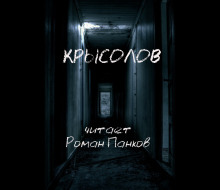 Крысолов - Александр Грин - Аудиокниги лучшие mp3 слушать ~ бесплатно без регистрации - knigaaudio.com