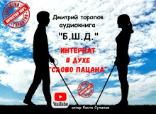 Б.Ш.Д. - Дмитрий Торопов - Аудиокниги лучшие mp3 слушать ~ бесплатно без регистрации - knigaaudio.com