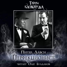 Перфекционист - Питер Лавси - Аудиокниги лучшие mp3 слушать ~ бесплатно без регистрации - knigaaudio.com