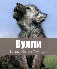 Вулли - Эрнест Сетон-Томпсон - Аудиокниги лучшие mp3 слушать ~ бесплатно без регистрации - knigaaudio.com