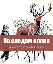 По следам оленя - Эрнест Сетон-Томпсон - Аудиокниги лучшие mp3 слушать ~ бесплатно без регистрации - knigaaudio.com