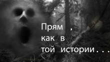 Прям как в той истории... - Пучок Перцепций - Аудиокниги лучшие mp3 слушать ~ бесплатно без регистрации - knigaaudio.com