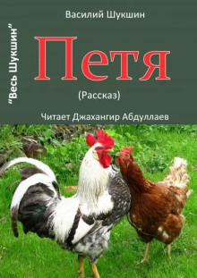 Петя - Василий Шукшин - Аудиокниги лучшие mp3 слушать ~ бесплатно без регистрации - knigaaudio.com
