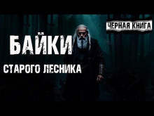 Байки старого лесника - Yuriy910 - Аудиокниги лучшие mp3 слушать ~ бесплатно без регистрации - knigaaudio.com