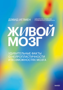 Живой мозг. Удивительные факты о нейропластичности и возможностях мозга - Дэвид Иглмен - Аудиокниги лучшие mp3 слушать ~ бесплатно без регистрации - knigaaudio.com
