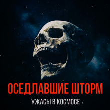 Оседлавшие шторм - Автор неизвестен - Аудиокниги лучшие mp3 слушать ~ бесплатно без регистрации - knigaaudio.com