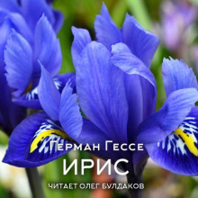 Ирис - Герман Гессе - Аудиокниги лучшие mp3 слушать ~ бесплатно без регистрации - knigaaudio.com