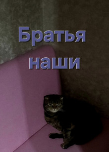 Братья наши - Светоч - Аудиокниги лучшие mp3 слушать ~ бесплатно без регистрации - knigaaudio.com
