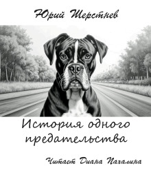 История одного предательства - Юрий Шерстнёв - Аудиокниги лучшие mp3 слушать ~ бесплатно без регистрации - knigaaudio.com