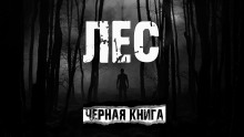 Лес - AkimSARR - Аудиокниги лучшие mp3 слушать ~ бесплатно без регистрации - knigaaudio.com