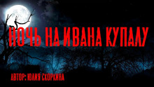 Ночь на Ивана Купалу - Юлия Скоркина - Аудиокниги лучшие mp3 слушать ~ бесплатно без регистрации - knigaaudio.com