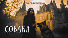 Собака - Буало-Нарсежак - Аудиокниги лучшие mp3 слушать ~ бесплатно без регистрации - knigaaudio.com