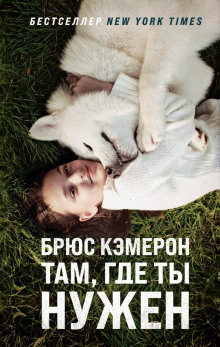 Там, где ты нужен - Брюс Кэмерон - Аудиокниги лучшие mp3 слушать ~ бесплатно без регистрации - knigaaudio.com