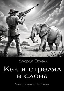 Как я стрелял в слона - Джордж Оруэлл - Аудиокниги лучшие mp3 слушать ~ бесплатно без регистрации - knigaaudio.com