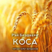Коса - Рэй Брэдбери - Аудиокниги лучшие mp3 слушать ~ бесплатно без регистрации - knigaaudio.com