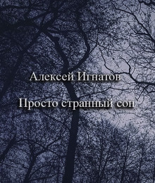 Просто странный сон - Алексей Игнатов - Аудиокниги лучшие mp3 слушать ~ бесплатно без регистрации - knigaaudio.com