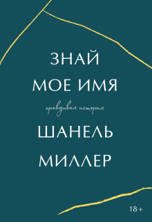 Знай моё имя. Правдивая история - Шанель Миллер - Аудиокниги лучшие mp3 слушать ~ бесплатно без регистрации - knigaaudio.com