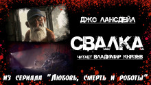 Свалка - Джо Р. Лансдейл - Аудиокниги лучшие mp3 слушать ~ бесплатно без регистрации - knigaaudio.com