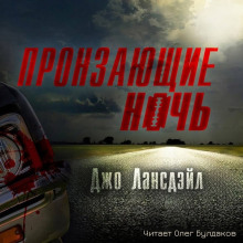 Пронзающие ночь - Джо Р. Лансдейл - Аудиокниги лучшие mp3 слушать ~ бесплатно без регистрации - knigaaudio.com