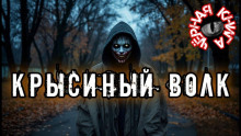 Крысиный волк - Rez0nman - Аудиокниги лучшие mp3 слушать ~ бесплатно без регистрации - knigaaudio.com