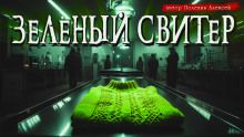 Зелёный свитер - Алексей Полехин - Аудиокниги лучшие mp3 слушать ~ бесплатно без регистрации - knigaaudio.com