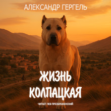 Жизнь колпацкая - Александр Гергель - Аудиокниги лучшие mp3 слушать ~ бесплатно без регистрации - knigaaudio.com