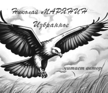 Полёт орла. Избранное - Николай Марянин - Аудиокниги лучшие mp3 слушать ~ бесплатно без регистрации - knigaaudio.com