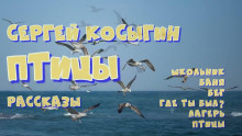 Сборник рассказов - Сергей Косыгин - Аудиокниги лучшие mp3 слушать ~ бесплатно без регистрации - knigaaudio.com