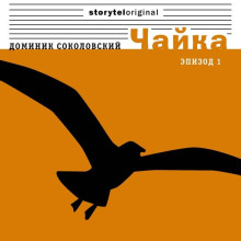 Чайка - Доминик Соколовский - Аудиокниги лучшие mp3 слушать ~ бесплатно без регистрации - knigaaudio.com