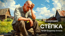 Стёпка - Василий Шукшин - Аудиокниги лучшие mp3 слушать ~ бесплатно без регистрации - knigaaudio.com