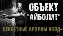 Секретные архивы НКВД. Объект "Айболит" - Максим Никитин - Аудиокниги лучшие mp3 слушать ~ бесплатно без регистрации - knigaaudio.com