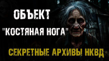 Секретные архивы НКВД. Объект "Костяная нога" - Максим Никитин - Аудиокниги лучшие mp3 слушать ~ бесплатно без регистрации - knigaaudio.com