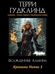 Осаждённые камнем - Терри Гудкайнд - Аудиокниги лучшие mp3 слушать ~ бесплатно без регистрации - knigaaudio.com