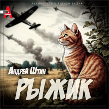 Рыжик - Андрей Штин - Аудиокниги лучшие mp3 слушать ~ бесплатно без регистрации - knigaaudio.com