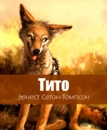 Тито - дочь степей - Эрнест Сетон-Томпсон - Аудиокниги лучшие mp3 слушать ~ бесплатно без регистрации - knigaaudio.com