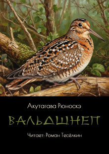 Вальдшнеп - Рюноскэ Акутагава - Аудиокниги лучшие mp3 слушать ~ бесплатно без регистрации - knigaaudio.com