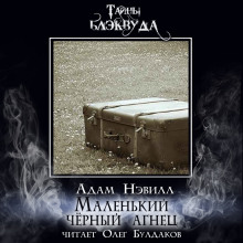 Маленький черный агнец - Адам Нэвилл - Аудиокниги лучшие mp3 слушать ~ бесплатно без регистрации - knigaaudio.com