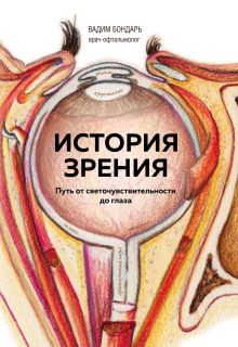 История зрения: путь от светочувствительности до глаза - Бондарь Вадим - Аудиокниги лучшие mp3 слушать ~ бесплатно без регистрации - knigaaudio.com