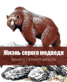 Жизнь серого медведя - Эрнест Сетон-Томпсон - Аудиокниги лучшие mp3 слушать ~ бесплатно без регистрации - knigaaudio.com