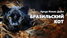Бразильский кот - Артур Конан Дойл - Аудиокниги лучшие mp3 слушать ~ бесплатно без регистрации - knigaaudio.com