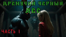 Дремучий Чёрный Лес - Андрей Кунгурцев - Аудиокниги лучшие mp3 слушать ~ бесплатно без регистрации - knigaaudio.com