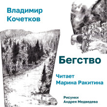 Бегство - Владимир Кочетков - Аудиокниги лучшие mp3 слушать ~ бесплатно без регистрации - knigaaudio.com