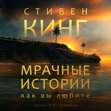 Мрачные истории, как вы любите - Стивен Кинг - Аудиокниги лучшие mp3 слушать ~ бесплатно без регистрации - knigaaudio.com