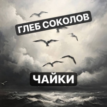 Чайки - Глеб Соколов - Аудиокниги лучшие mp3 слушать ~ бесплатно без регистрации - knigaaudio.com