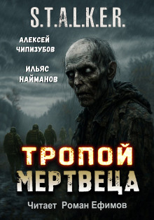 S.T.A.L.K.E.R. Тропой мертвеца - Ильяс Найманов - Аудиокниги лучшие mp3 слушать ~ бесплатно без регистрации - knigaaudio.com