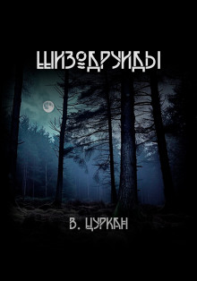 Шизодруиды - Валерий Цуркан - Аудиокниги лучшие mp3 слушать ~ бесплатно без регистрации - knigaaudio.com