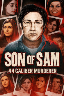 44-калибр: охота серийного убийцы - Автор неизвестен - Аудиокниги лучшие mp3 слушать ~ бесплатно без регистрации - knigaaudio.com