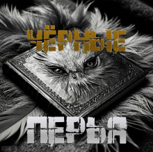 Чёрные перья - Артём Артёмов - Аудиокниги лучшие mp3 слушать ~ бесплатно без регистрации - knigaaudio.com