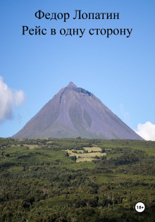 Рейс в одну сторону - Федор Лопатин - Аудиокниги лучшие mp3 слушать ~ бесплатно без регистрации - knigaaudio.com